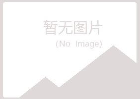 青岛黄岛以蕊金融有限公司